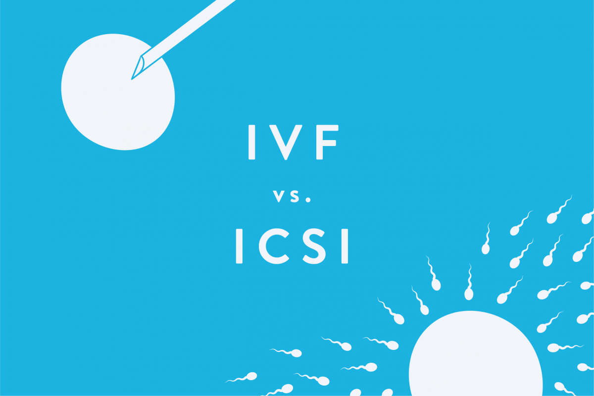 Post image - Do IVF or ICSI Embryos Grow Better?