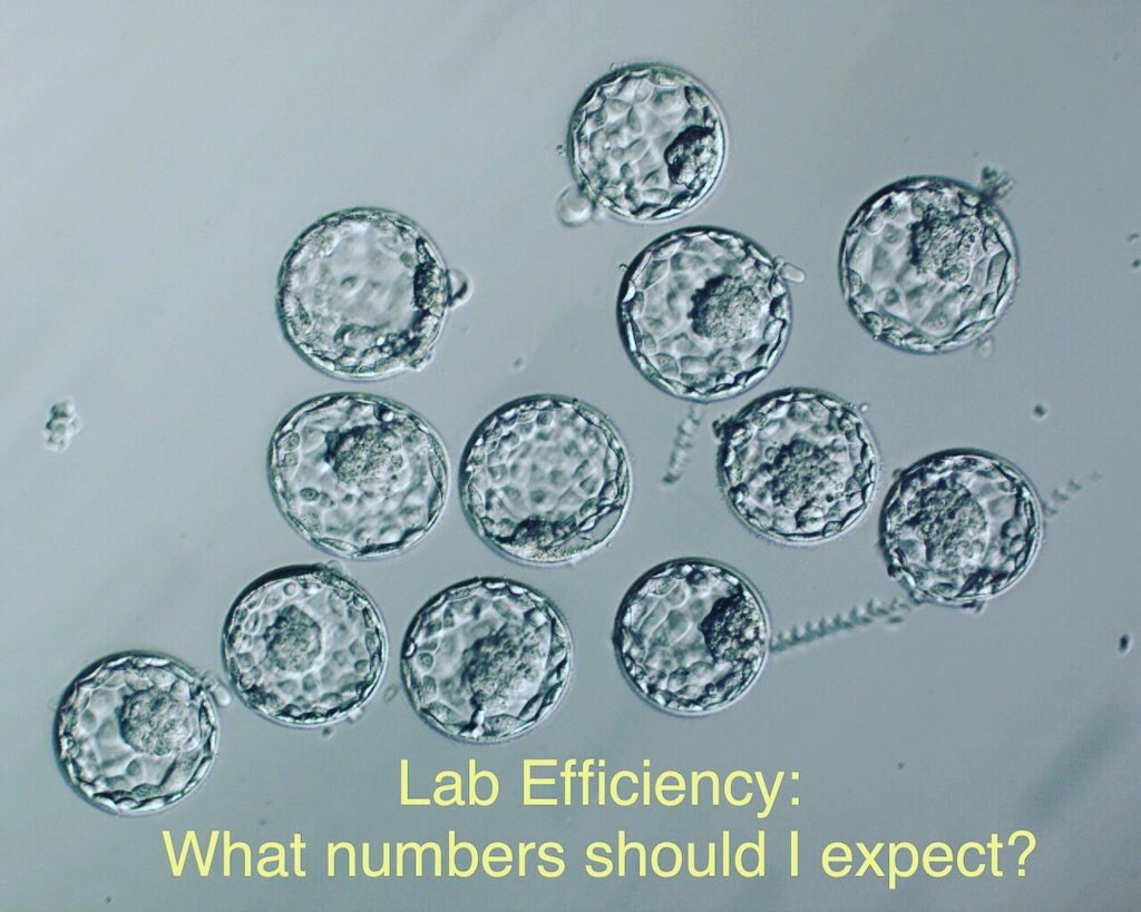 Post image - Lab efficiency: what numbers should I expect?